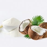 Olio Cocco Utilizzo Cura Corpo