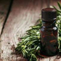 Prodotti Tea Tree Oil Contro Virus Batteri Viaggio