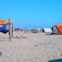 Cosa-Vedere-Fare-Lido-Classe-Lido-Savio-Romagna-Guida