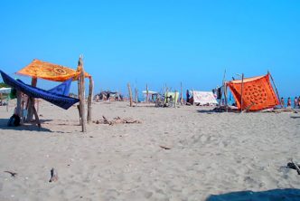 Cosa-Vedere-Fare-Lido-Classe-Lido-Savio-Romagna-Guida