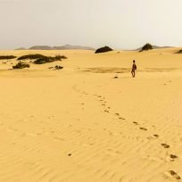 Dune-Fuerteventura-Visita-Parco-Naturale-Dunas-Corralejo