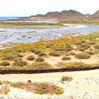 Guida Isla De Lobos Fuerteventura Cosa Vedere Fare Come Arrivare