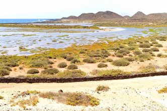 Guida Isla De Lobos Fuerteventura Cosa Vedere Fare Come Arrivare