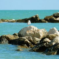 Campomarino Molise Borgo Mare Spiagge Piu Belle