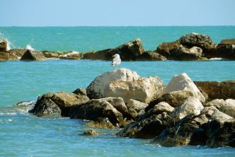 Campomarino Molise Borgo Mare Spiagge Piu Belle