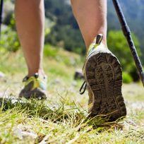 Migliori Bastoni Trekking Nordic Walking Viaggiatori Recensioni