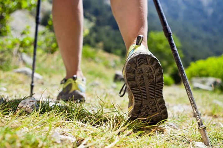 Migliori Bastoni Trekking Nordic Walking Viaggiatori Recensioni