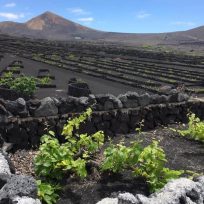 Geria Lanzarote Migliori Cantine Bodegas Degustazioni Vino