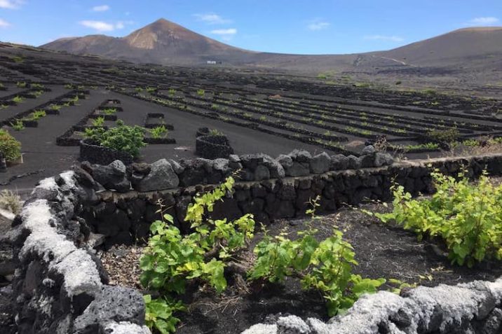 Geria Lanzarote Migliori Cantine Bodegas Degustazioni Vino