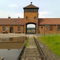 Come Visitare Auschwitz Cracovia Tour Organizzati Bus