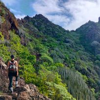 Dove Alloggiare Tenerife Inverno Migliori Zone Hotel