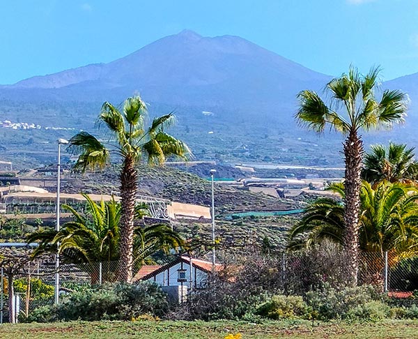 Cosa Fare Vedere Mangiare Tenerife Guida Itinerario