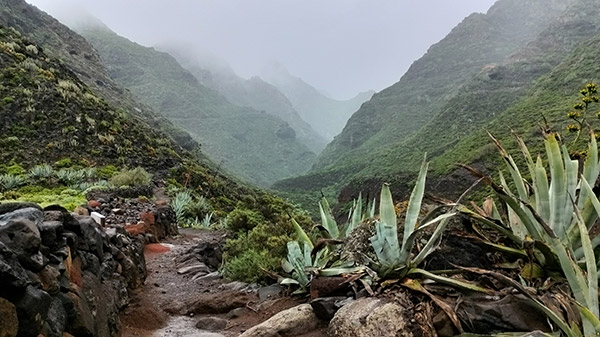 Migliori Trekking Tenerife Sud Nord Teide Masca