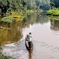 Tigri Rinoceronti Parco Nazionale Chitwan Nepal