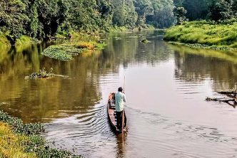 Tigri Rinoceronti Parco Nazionale Chitwan Nepal