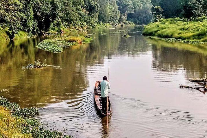 Tigri Rinoceronti Parco Nazionale Chitwan Nepal