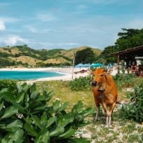 spiagge piu belle lombok kuta sengiggi