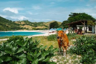 spiagge piu belle lombok kuta sengiggi