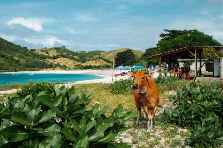 spiagge piu belle lombok kuta sengiggi