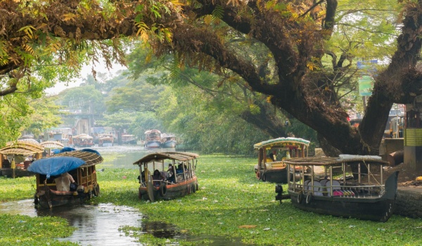 Alleppey canals